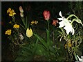 Flower bed in Gurney Drive, Hampstead Garden Suburb