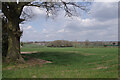 Farmland at Burton Green