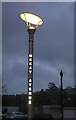 SX9064 : Street light, Torre Marine by Derek Harper