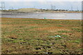 ST3183 : Salt marsh, bank of River Usk by M J Roscoe