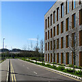 Cambridge Biomedical Campus: Discovery Drive