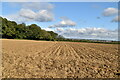 Ploughed field