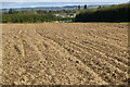 Ploughed field