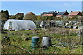 Allotments at Broughton