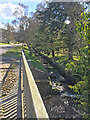 Fish Ladder Sanquhar Pond