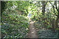 Bridleway to Rushlake Green