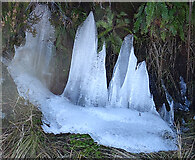 NJ2636 : Ice Stalagmites by Anne Burgess