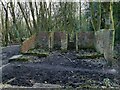 Ruined building in Calverley Wood