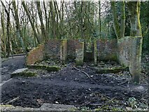 SE2037 : Ruined building in Calverley Wood by Stephen Craven