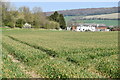 View across field to Castle Cottages