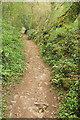 Footpath, Powsey Moor