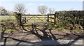 Field gateway on north side of rural road west of Crosshill