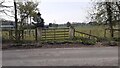 Field gateway on west side of road north of The Pleasants