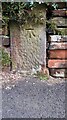 Benchmark on gatepost at entrance to No. 42 Houghton Road