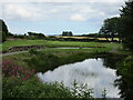 Oldmeldrum Golf Club, 11th Hole, Dinna Duff