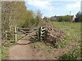 Path from Burlish Top to Rifle Range Nature Reserve