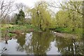 River Stour at Wixoe Mill