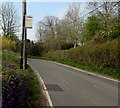 Fox & Hounds bus stop, Llanharry Road, Llanharry