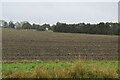 Fen farmland