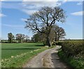 Moor Lane, near Blyth