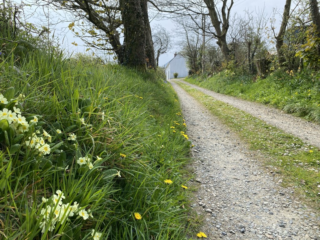 cold-comfort-alan-hughes-geograph-britain-and-ireland