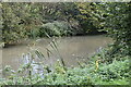 Pond, east of Langley Loch