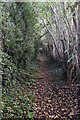 Footpath to Langley Heath