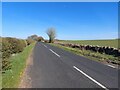 Minor road north of Belsay Barns