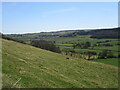 Near Oakley Side house