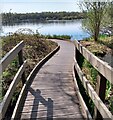 Boardwalk Lochend Loch