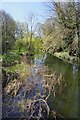 River Stour in Clare