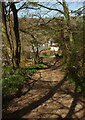 Track approaching Tuckenhay Mill