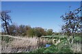 Meander in the Stour