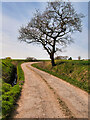 Track towards Talbot House