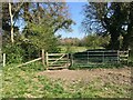 Bridleway south of West Stratton