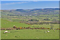 View over the Teifi valley around Pontrhydfendigaid