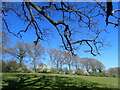 On the edge of a valley of a tributary of the River Rother