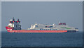 J5584 : The 'Pugnax' off Groomsport by Rossographer