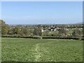 View towards Coley