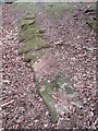 Stone trod near Egton Bridge