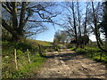 Track south of Sharnden Old Manor Farm