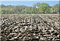 Ploughed field