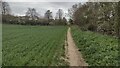 Path nearing Glympton Road