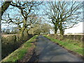 Oak trees line the sides of Goodrest Lane