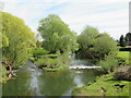 The River Teme from the Bransford Bridge