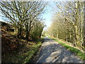 SD5883 : Beck Lane near Kitridding Farm by JThomas