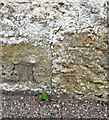 OS Cut Mark - Forres, Wall on Alexandra Terrace