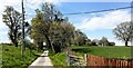 Bridleway heading WNW towards Tagents Farm