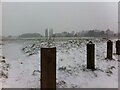 Powdery snow on Hearsall Common