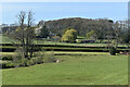 Meadow beside the River Wey